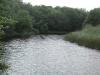 River at Dwyer Farm 9_thumb.jpg 2.2K
